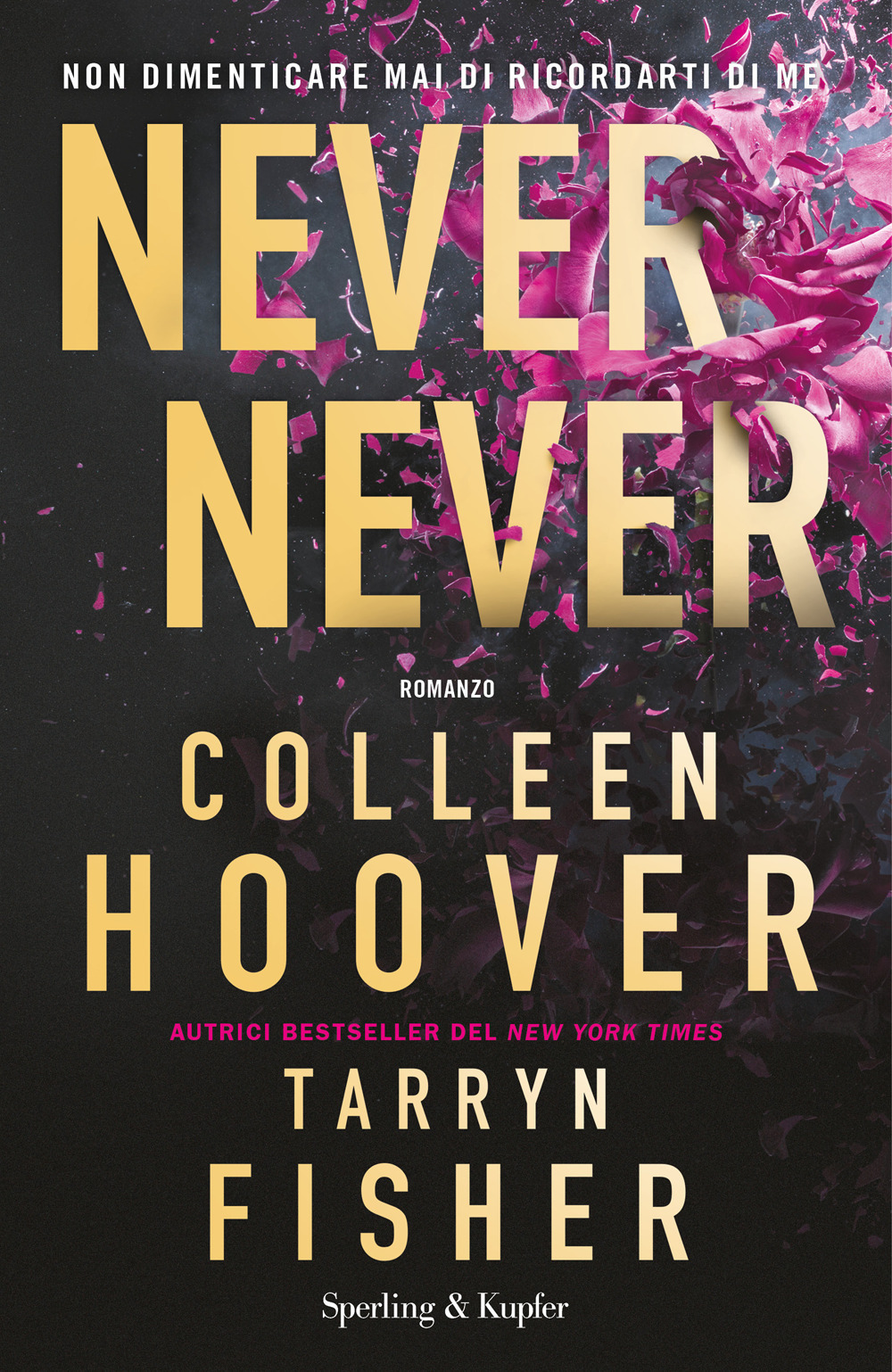 never-never-copertina