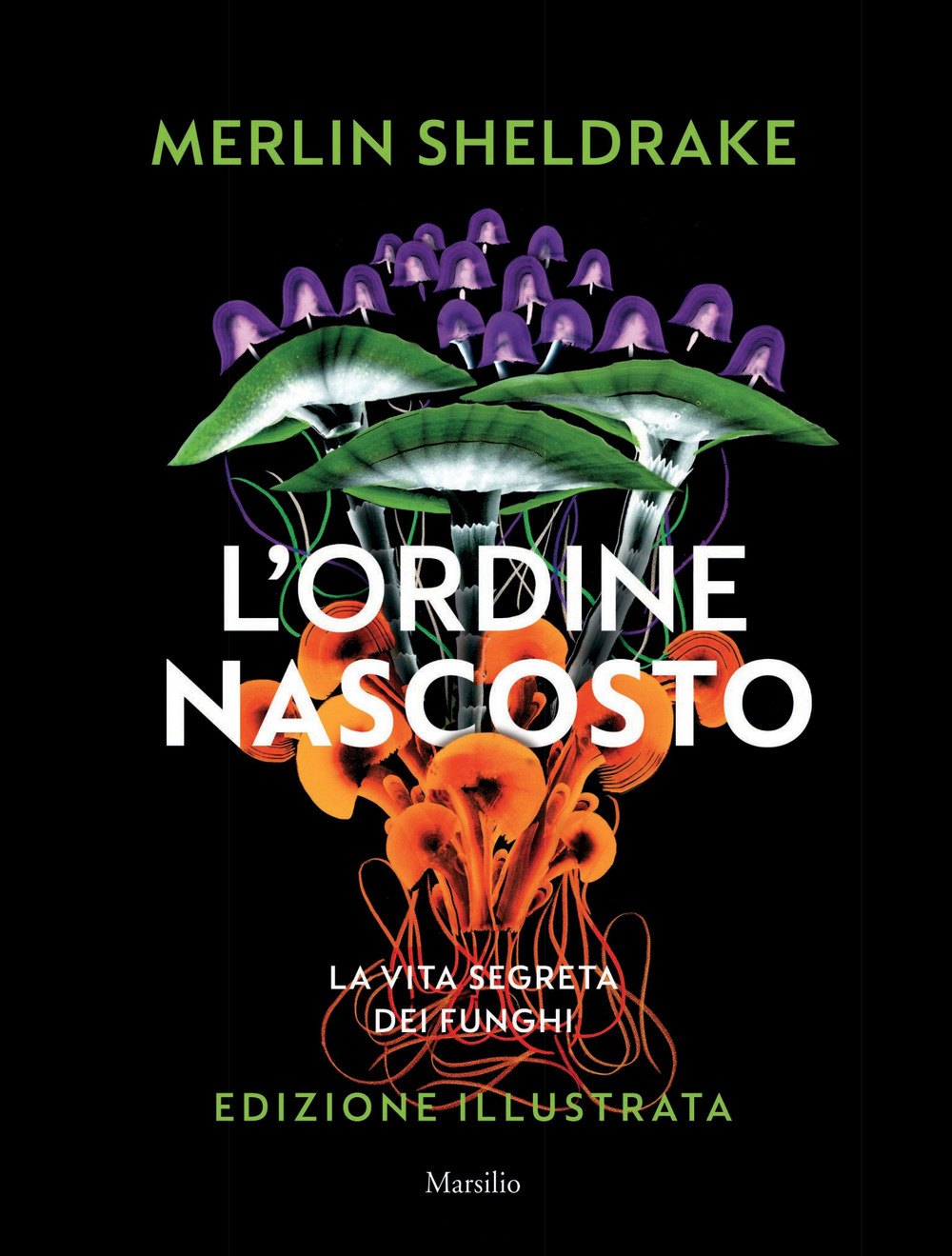 l'ordine-nascosto-copertina
