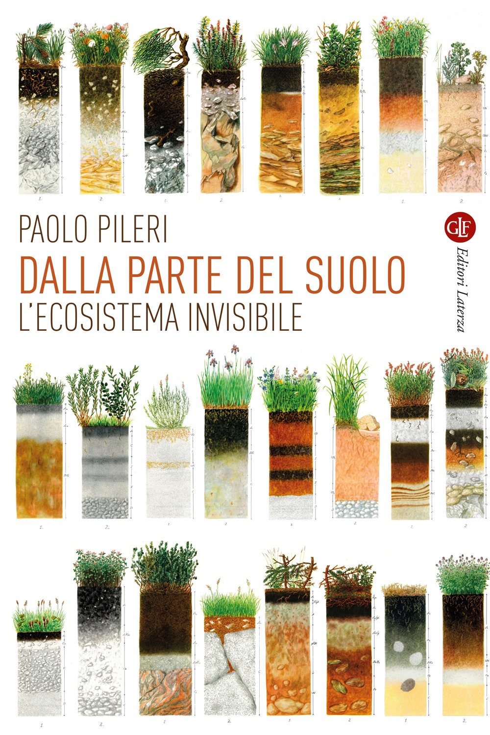 dalla parte del suolo