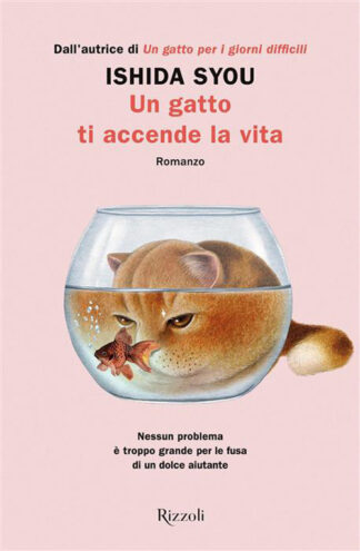un gatto ti accende la vita